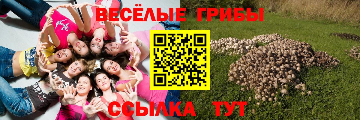 Заволжье  Галлюциногенные грибы Psilocybine cubensis  Вход с VPN  Галлюциногенные грибы GOLDEN TEACHER 